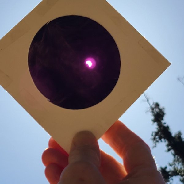 Partial eclipse seen through a hand held infrared filter © Joan Schipper