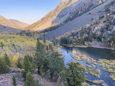 Lundy Canyon Trail Head