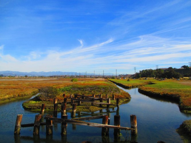 Ballona Wetlands Restoration Threats