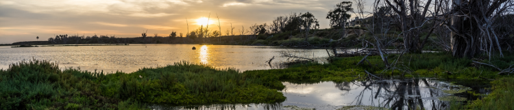 Bolsa Chica Wetlands Reserve