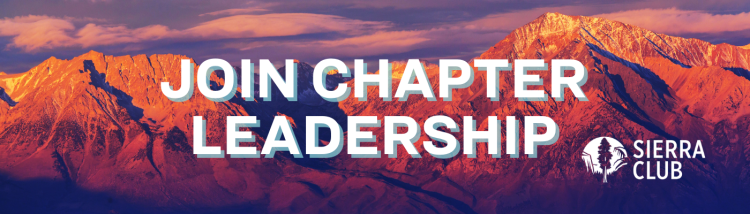 Join Chapter Leadership!