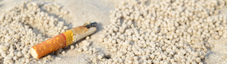 Cigarette Waste on Beach