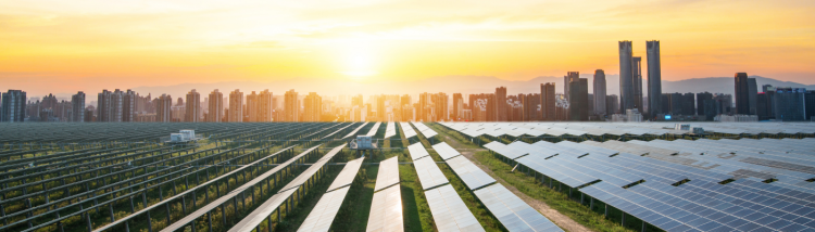 solar pannels with the sunny blue sky