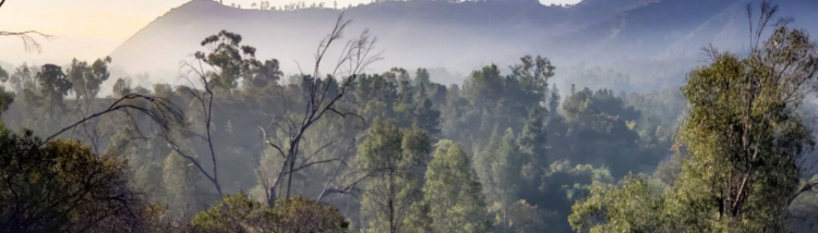 Skyline trail looking down into the LA Zoo by David Eisenberg