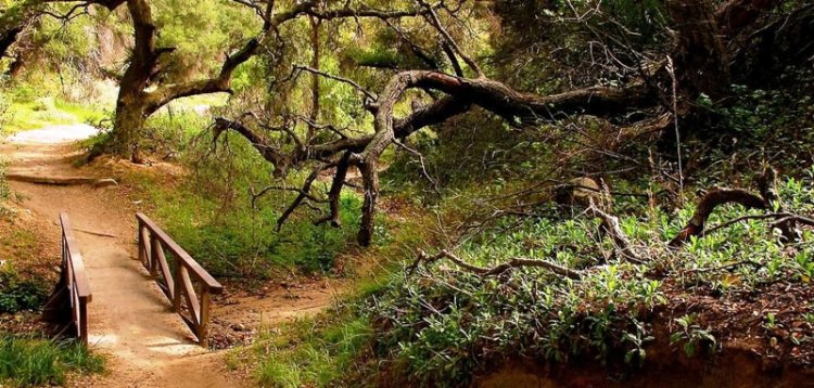 Whiting Ranch Wilderness Park