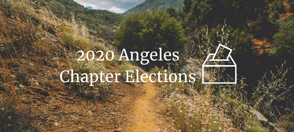 2020 Chapter Elections