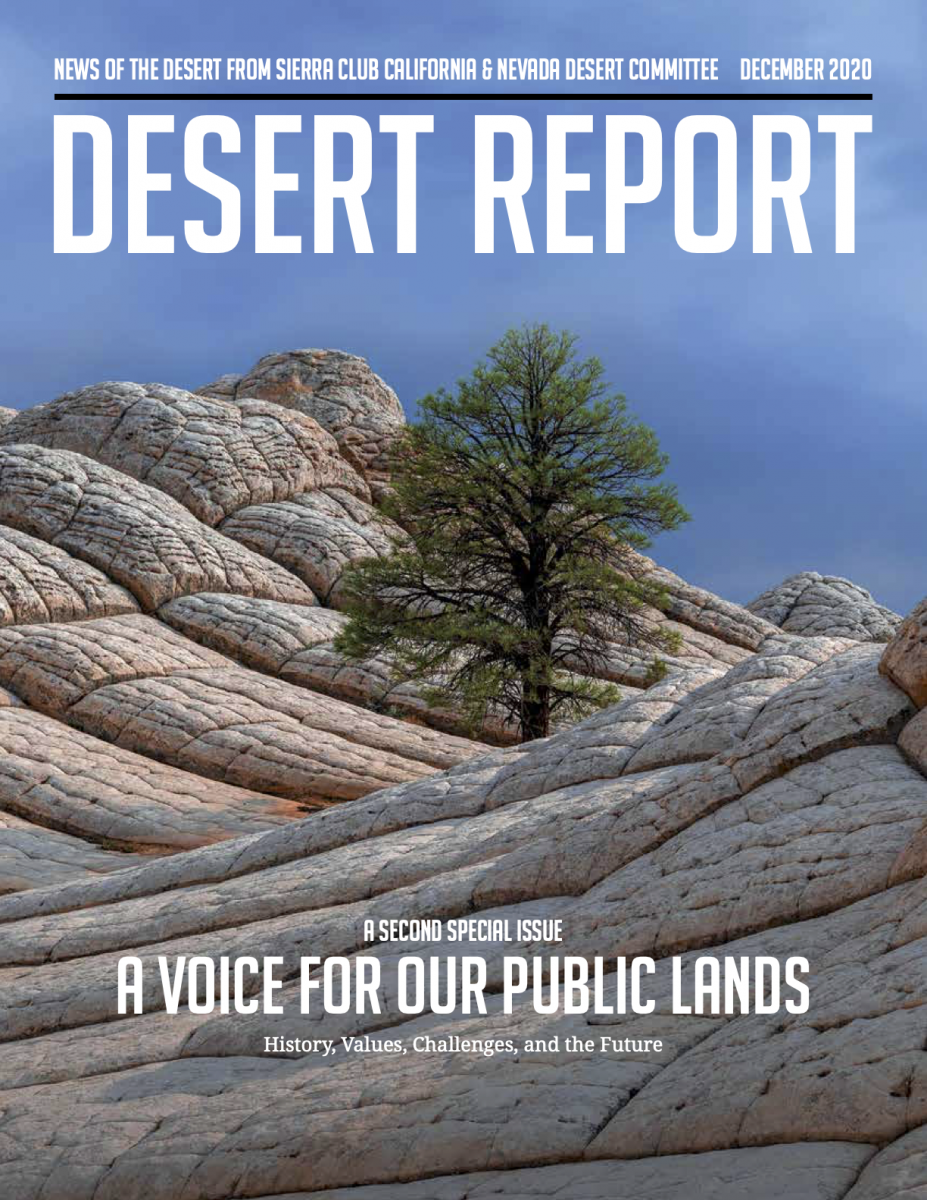 Desert Report Winter 2020