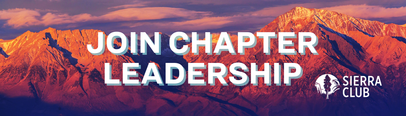 Join Chapter Leadership!