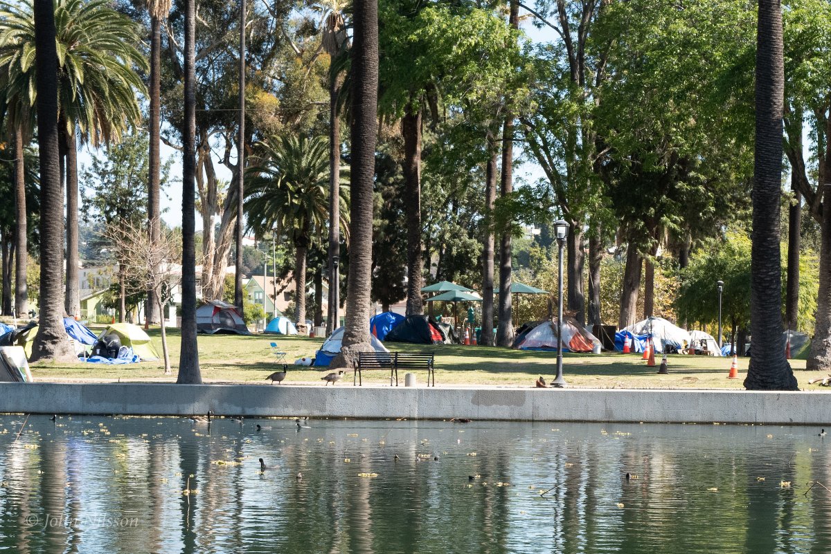 Tents propped in Echo Park, Los Angeles John Nilsson all rights reserved