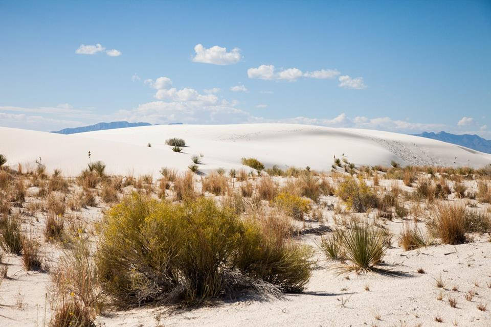 Southern New Mexico Sierra Club Angeles Chapter