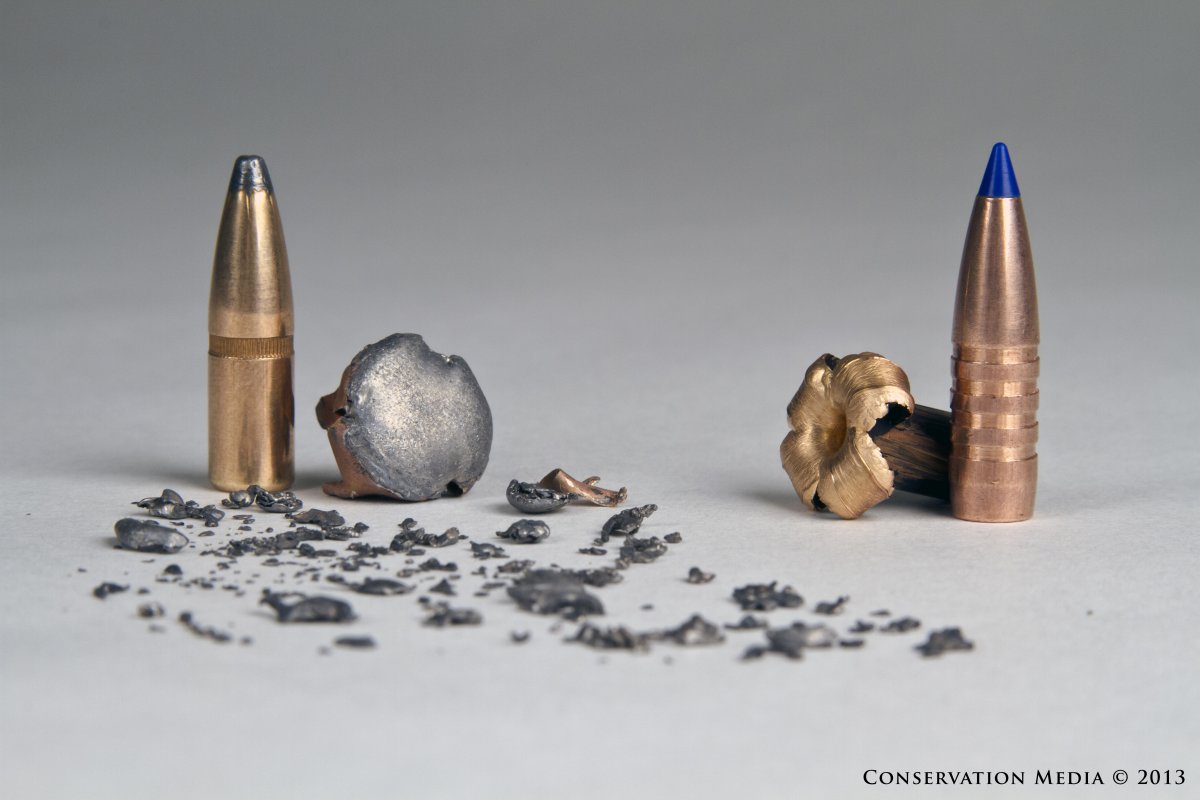 "A shot lead centerfire bullet and its residual fragments (left) next to a modern copper bullet (right)."  Credit: Conservation Media, 2013