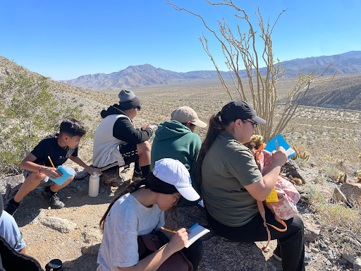 Students sketching at the overlook of Cactus Loop Trail