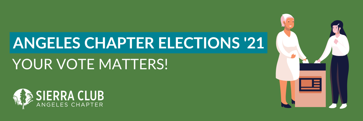 Your vote matters! Chapter Elections '21