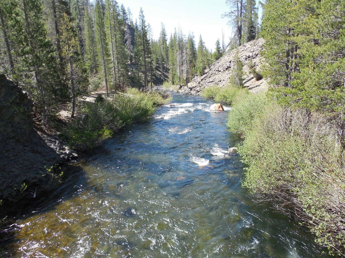 River in the Sierras