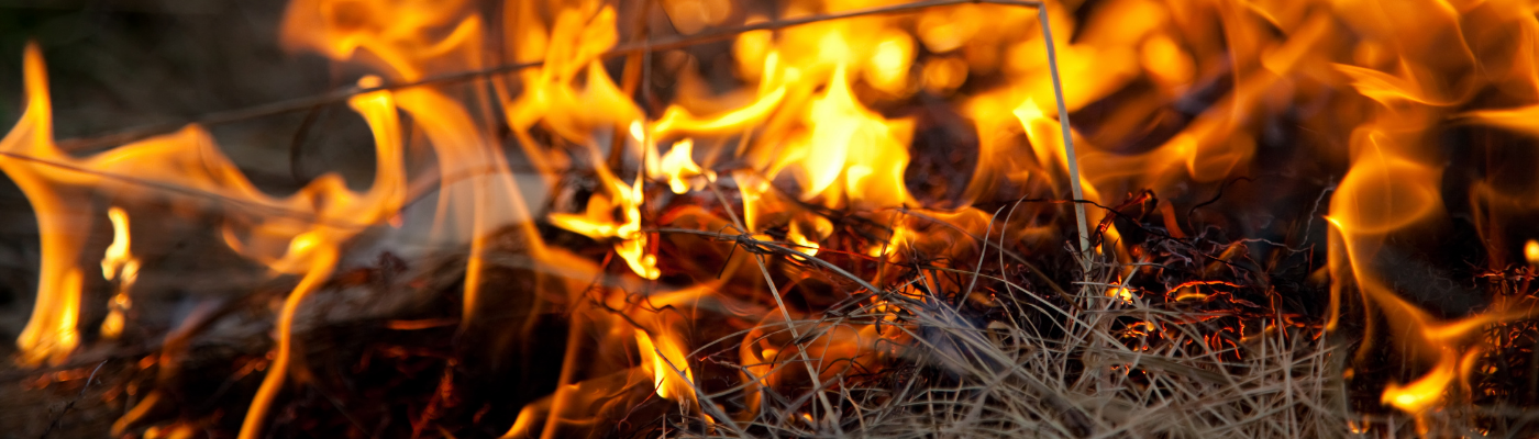 Fire devours dry grass