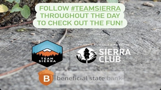 Team Sierra Virtual Scavenger Hunt
