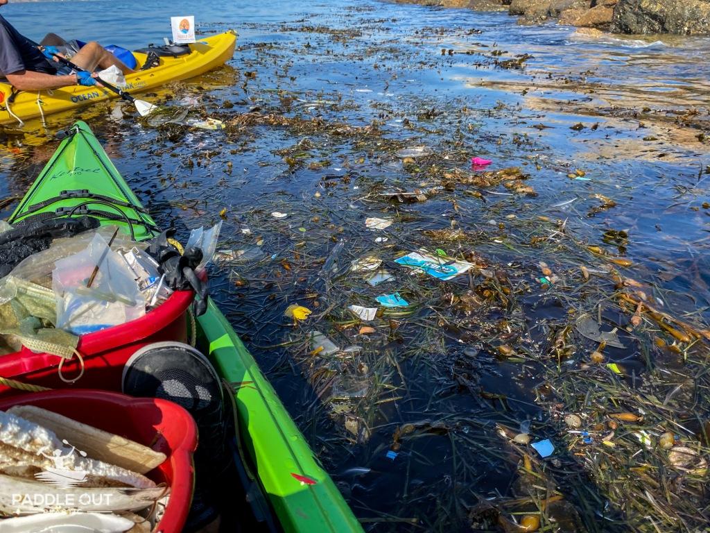Kayakers cleaning up floating plastic waste in LA Harbor