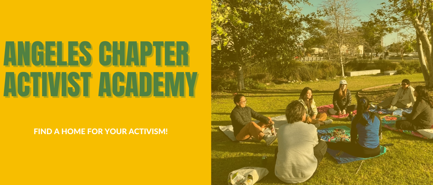 Angeles Chapter Activist Academy